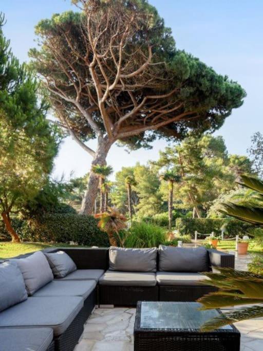 Superbe Appartement 50M De La Plage En Bord De Mer Ιέρ Εξωτερικό φωτογραφία