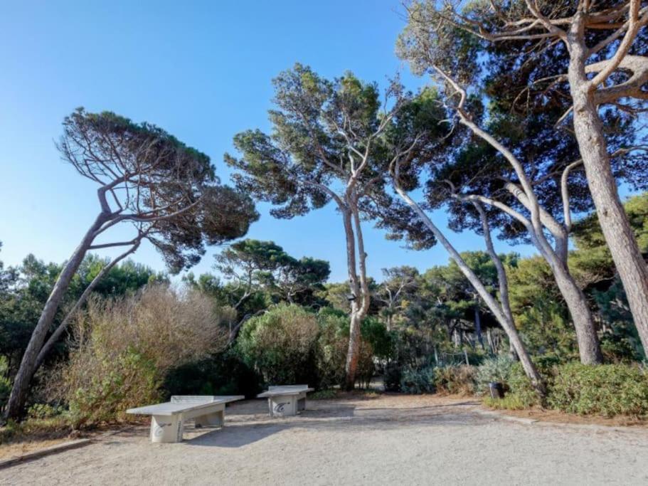 Superbe Appartement 50M De La Plage En Bord De Mer Ιέρ Εξωτερικό φωτογραφία
